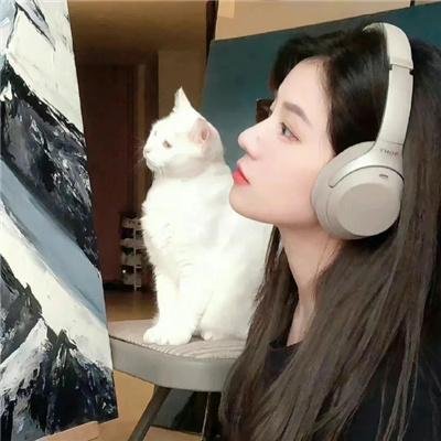 首辅家的锦鲤妻